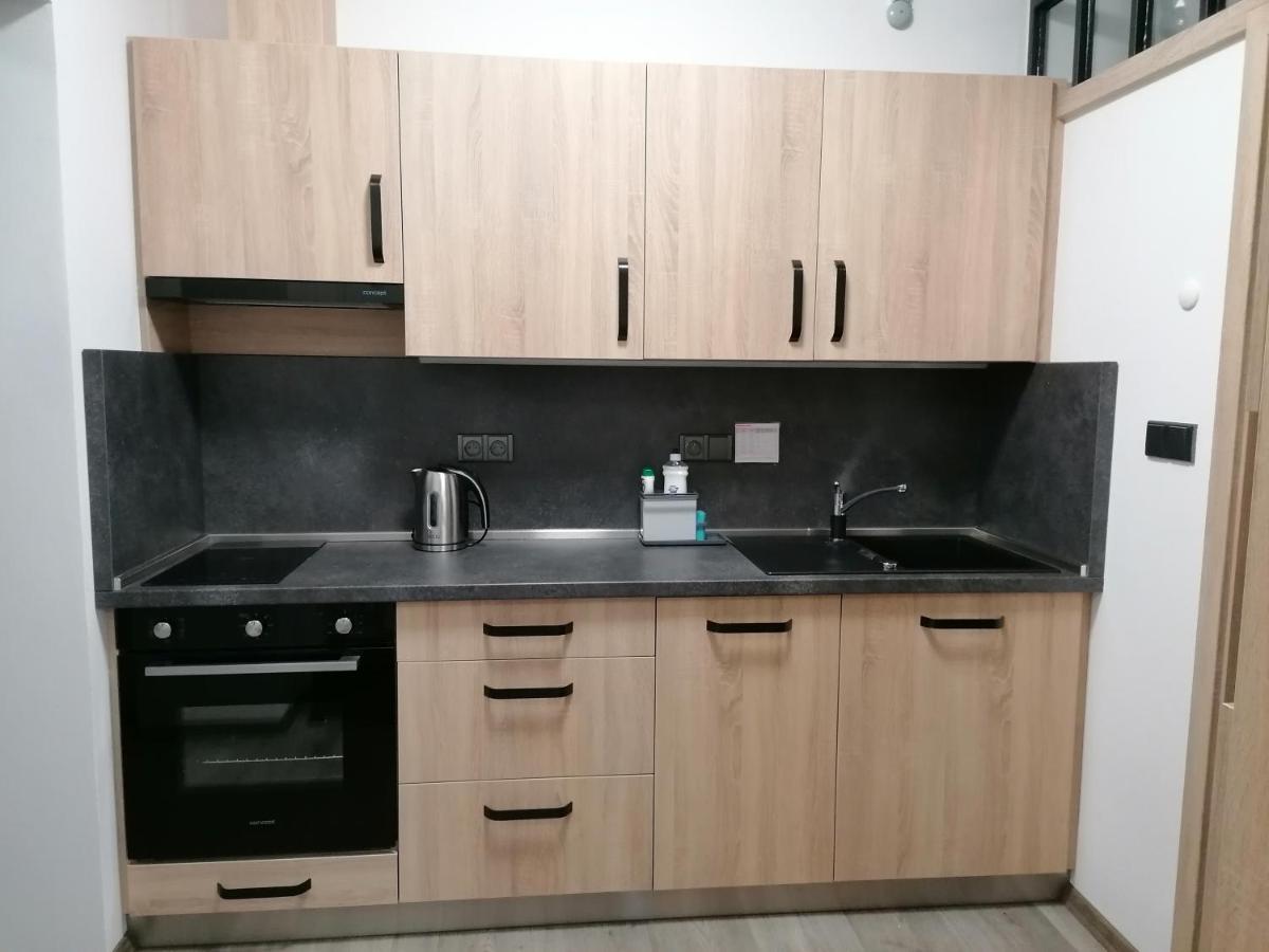 Červená Voda Apartman 88 מראה חיצוני תמונה
